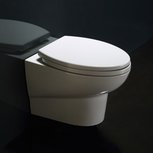 Eago WD379P Hangend toilet closetzitting 55x35cm softclose toiletbril Eago WD379P Hangend toilet closetzitting 55x35cm softclose toiletbril